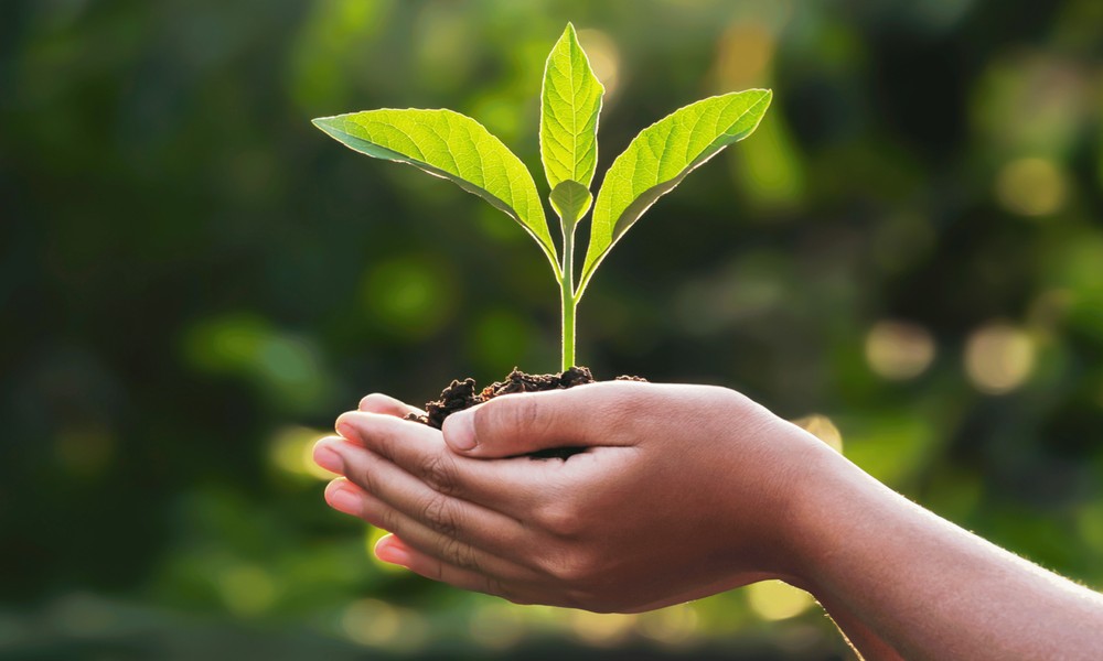 Why More People Are Choosing Eco-Friendly Moves This Year